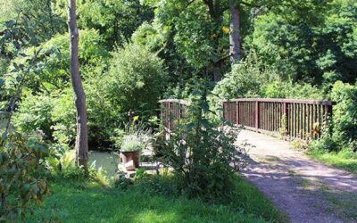 03-Hermannsmuehle-Garten-02 03-Hermannsmuehle-Garten-02