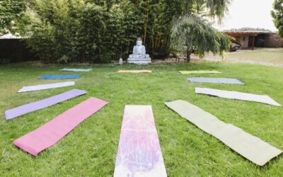 KuG_Werkstatt-Yogawiese KuG_Werkstatt-Yogawiese